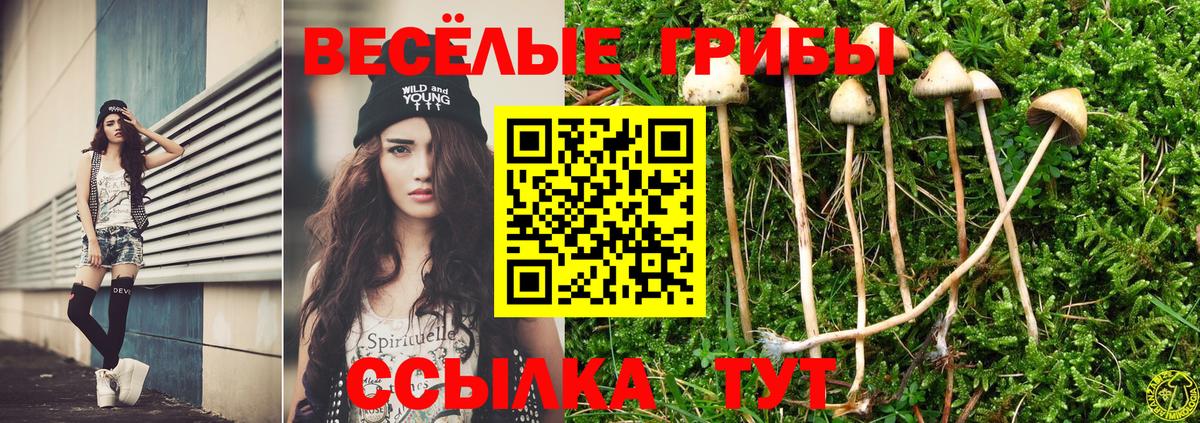 Лабинск  Псилоцибиновые грибы мицелий  Вход с VPN 
