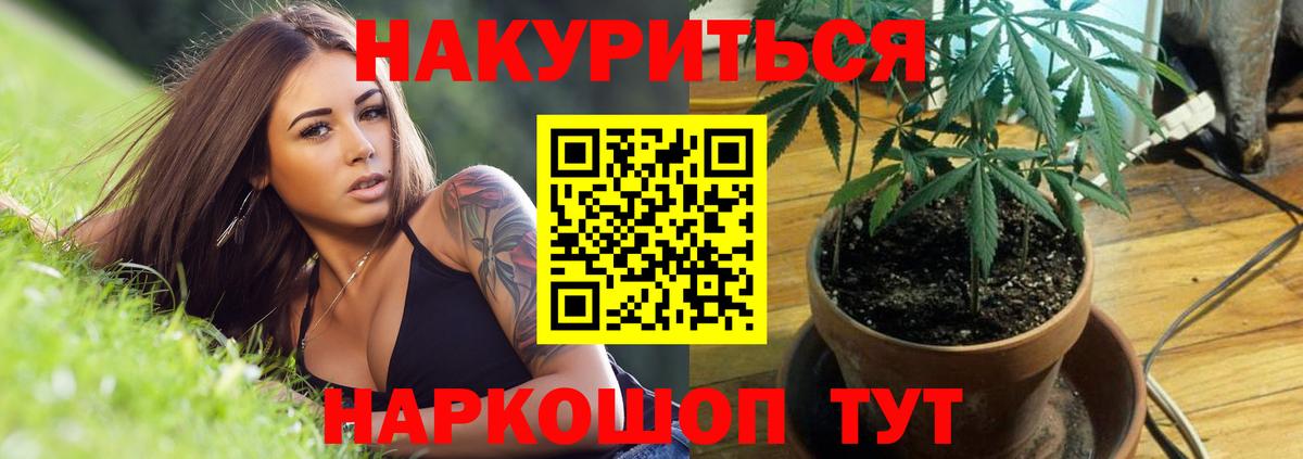 Канабис планчик Лабинск